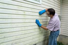 Best Historical Building Siding Restoration  in Phelan, CA